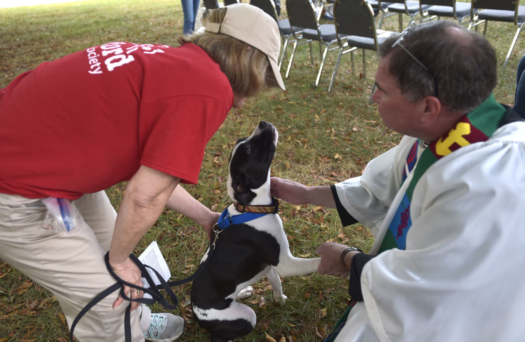 Blessing of the Animals 05